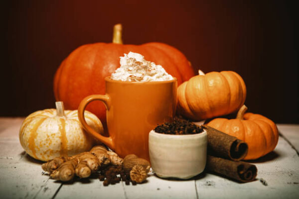 The Pumpkin Spice Café Book: A Cozy Delight for Autumn Lovers